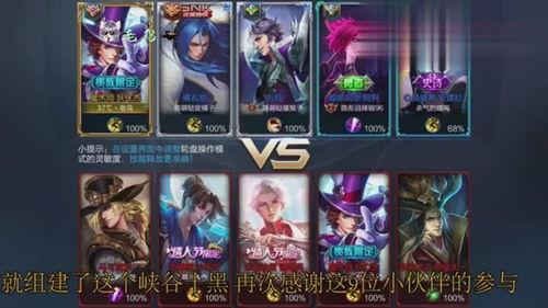 反杀粉丝最新皮肤爆料,揭秘全新皮肤背后的故事与亮点  第3张