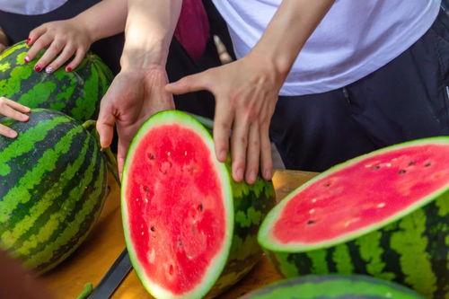 吃瓜渠道免费,免费吃瓜，独家爆料，带你领略明星幕后故事  第2张